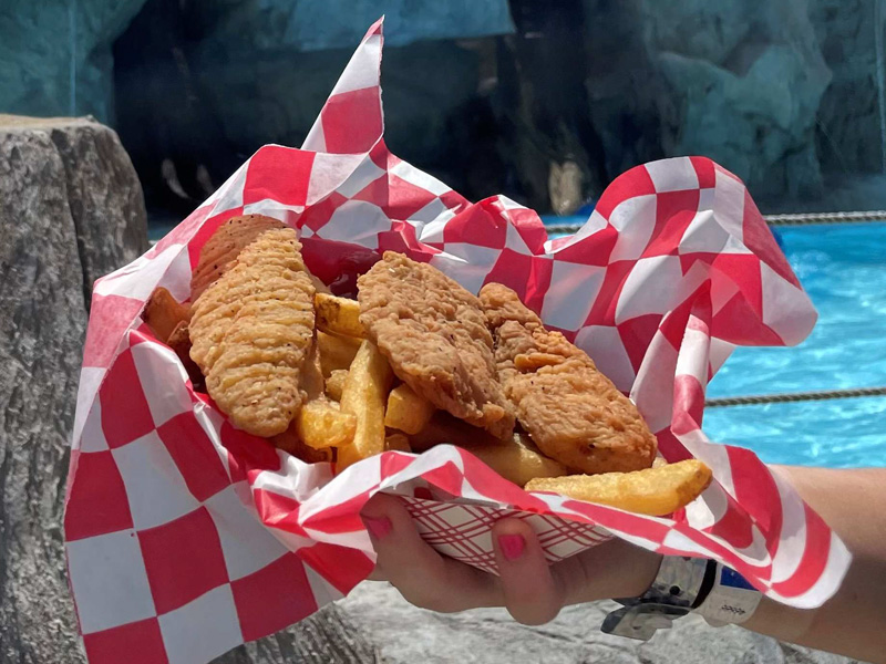 Chicken Tenders and fries