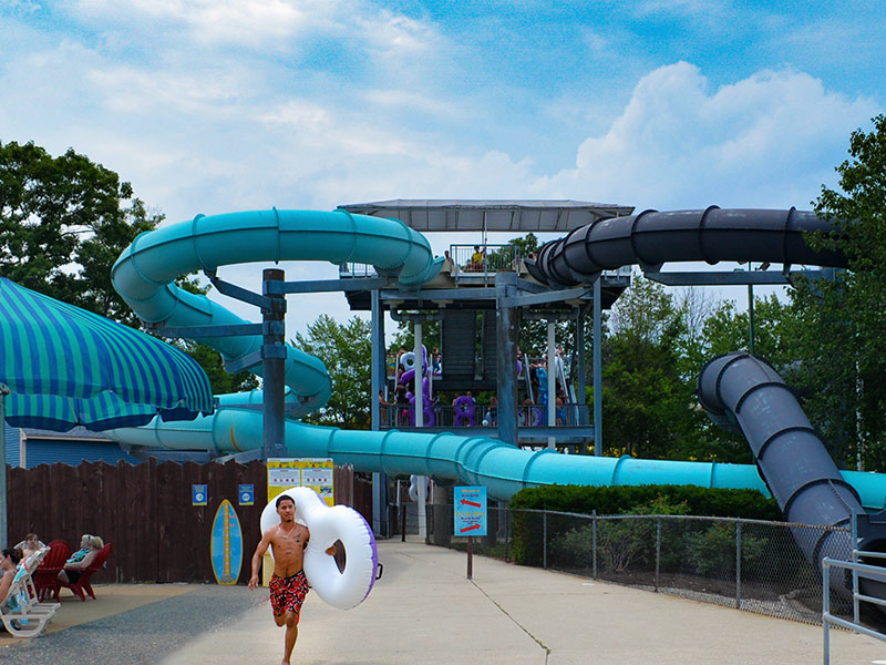 Discover the Park Services